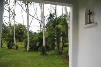 Spicy Oasis Apartamento Witta